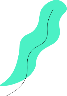 h2-slider-1-layer-4